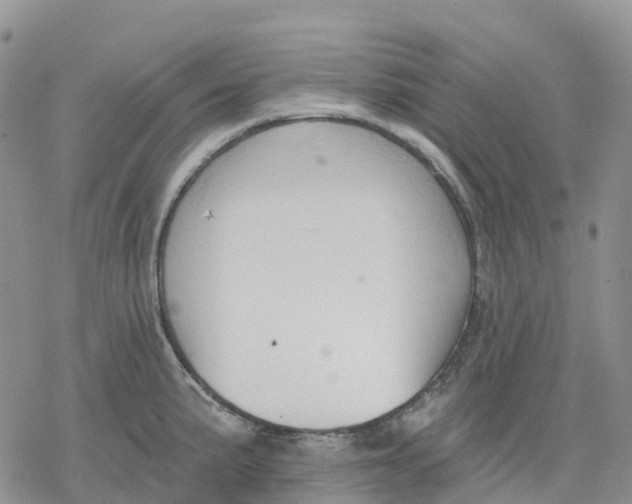 X0000078231191200611251206