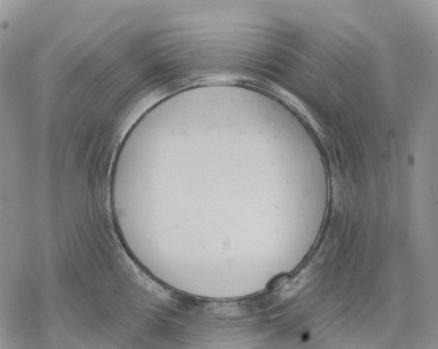 X0000078231194200611251206