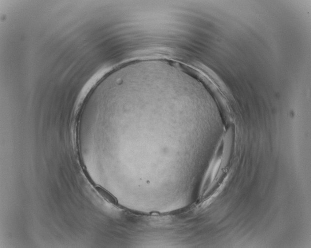 X0000078231196200611251206