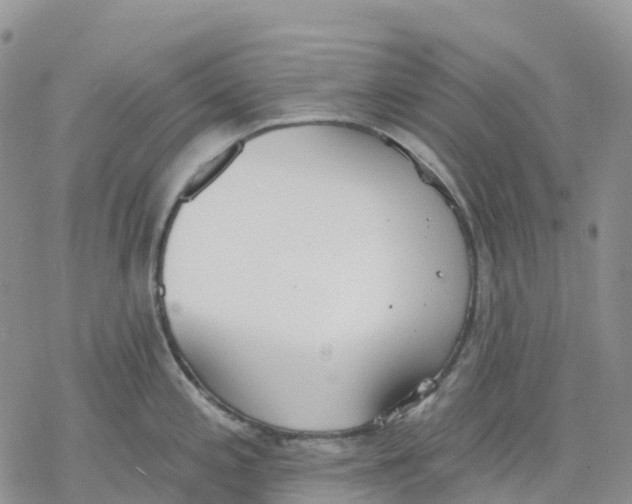 X0000078231197200611251206