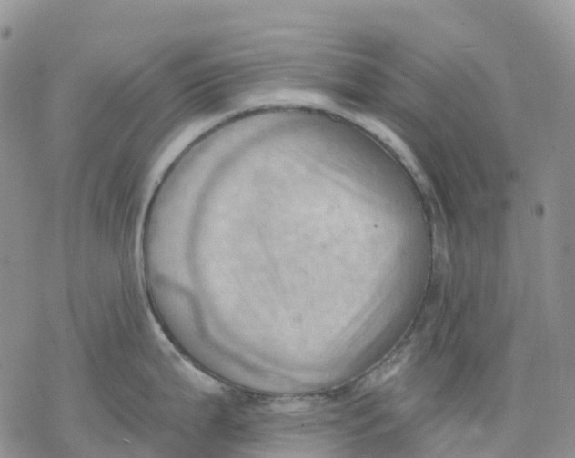 X0000078231199200611251206