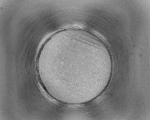 X0000078231200200611251206