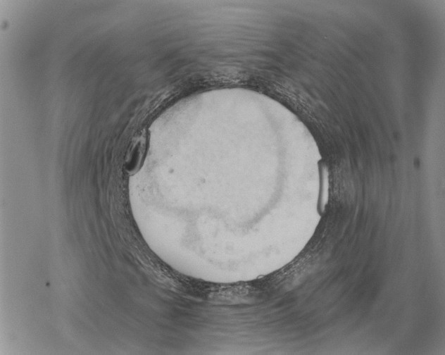 X0000078231201200611251205