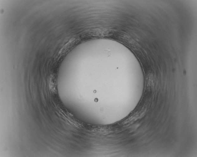 X0000078231202200611251205