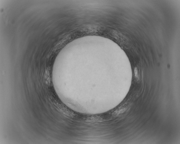 X0000078231203200611251205