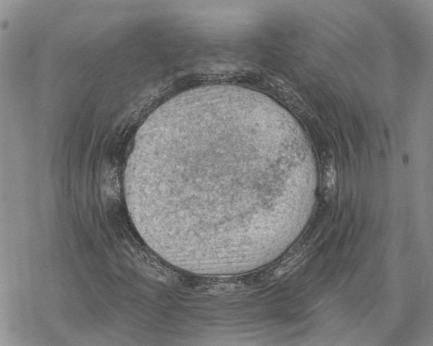 X0000078231204200611251205