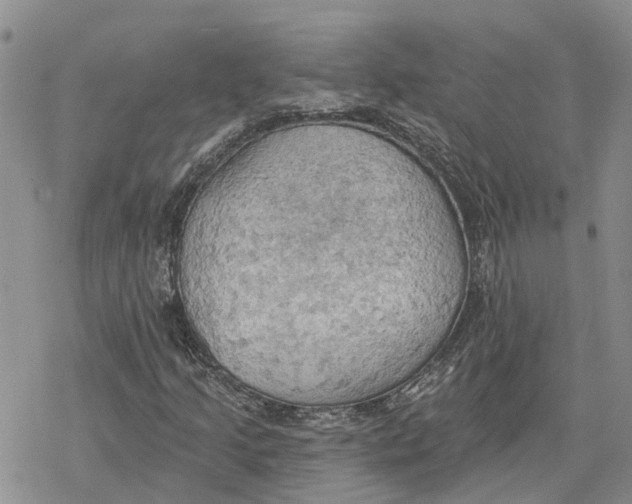 X0000078231205200611251205