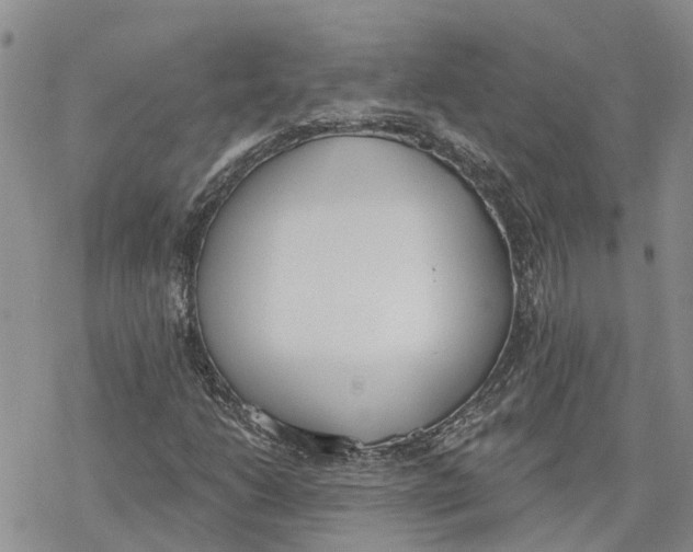 X0000078231206200611251205