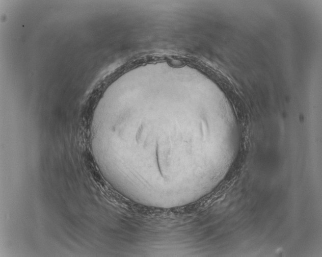 X0000078231207200611251205