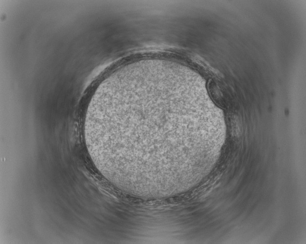 X0000078231208200611251205