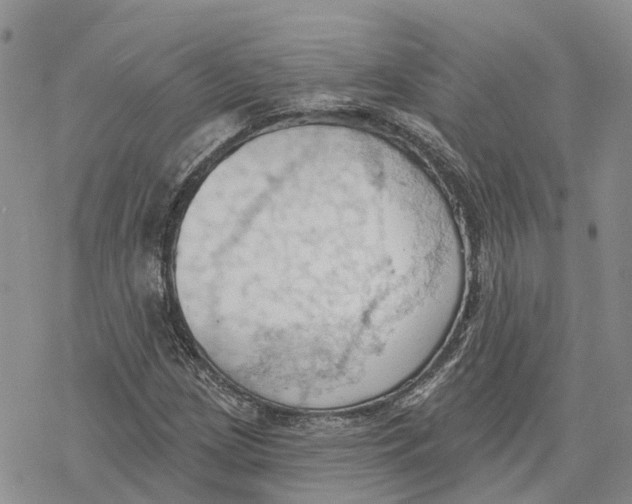 X0000078231209200611251205