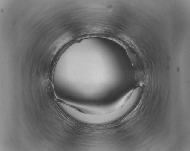 X0000078231210200611251205