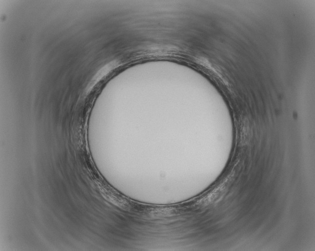 X0000078231211200611251205