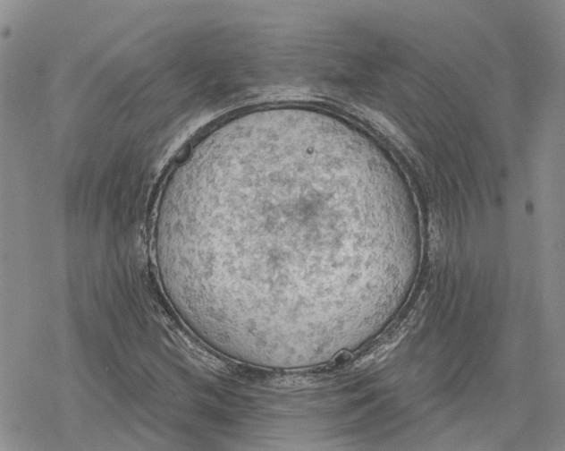 X0000078231212200611251205