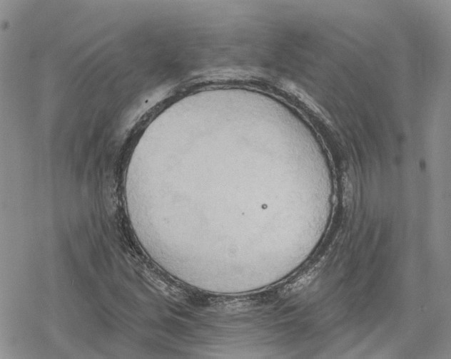 X0000078231213200611251206