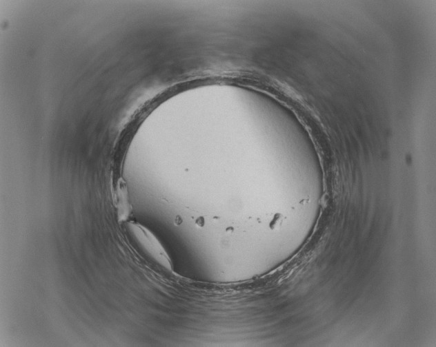 X0000078231214200611251206