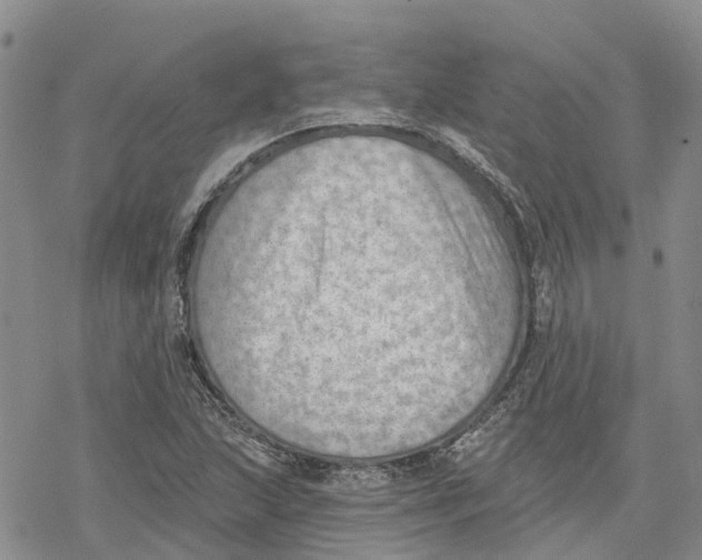 X0000078231215200611251206