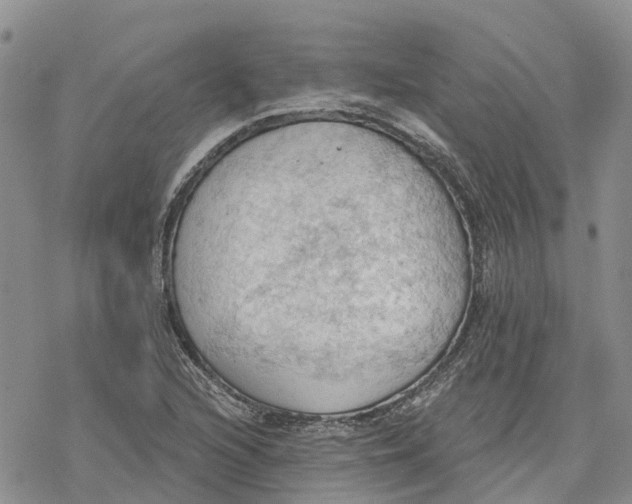 X0000078231216200611251206