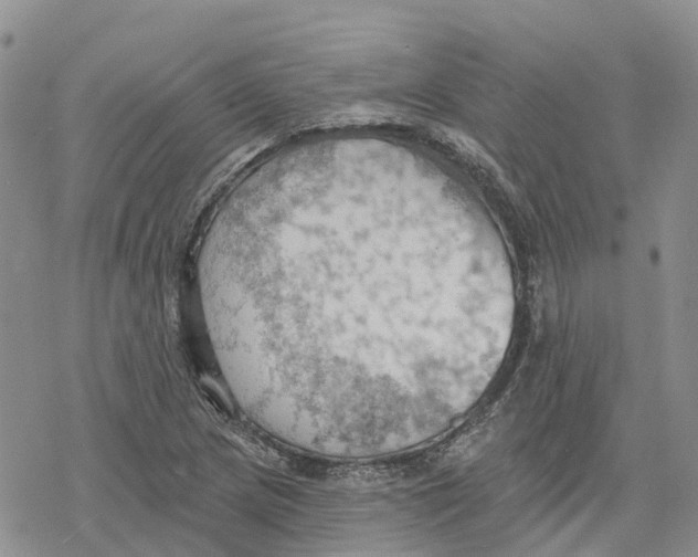 X0000078231217200611251206