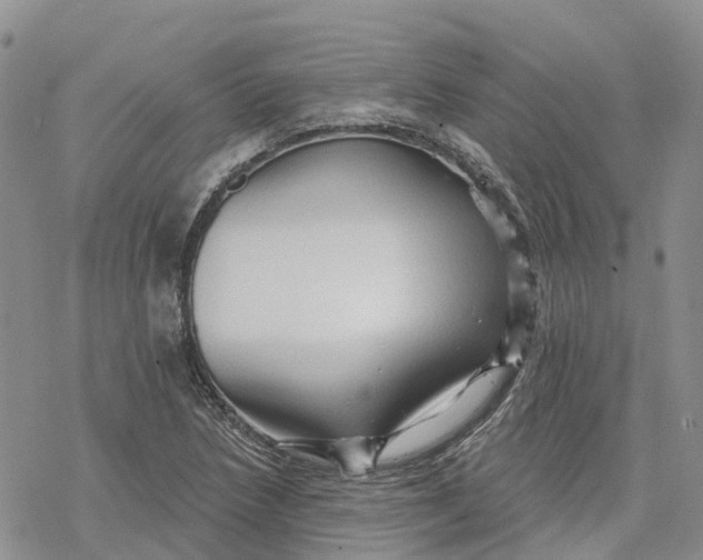 X0000078231218200611251206