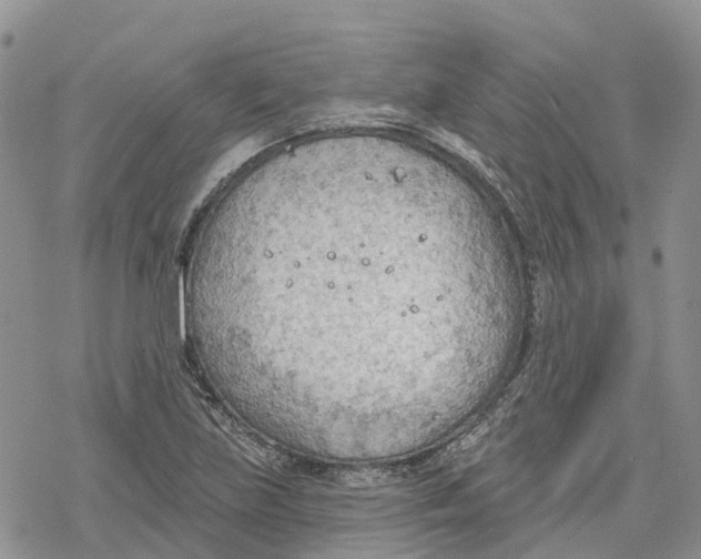 X0000078231219200611251206