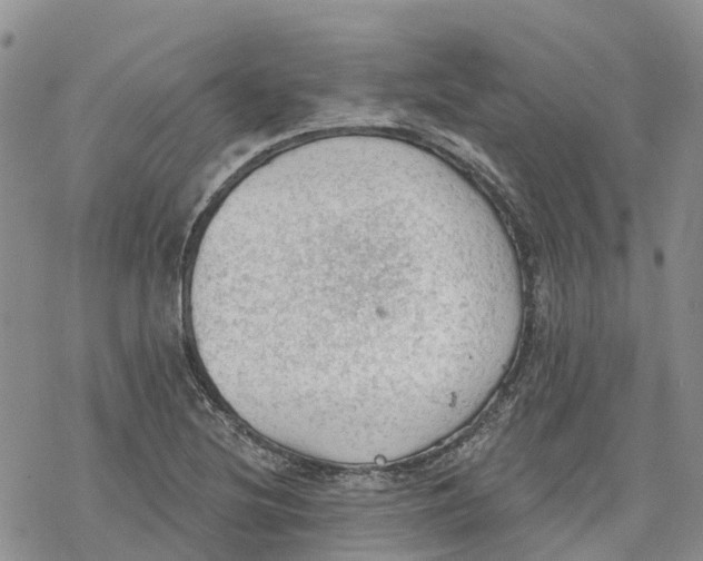 X0000078231220200611251206