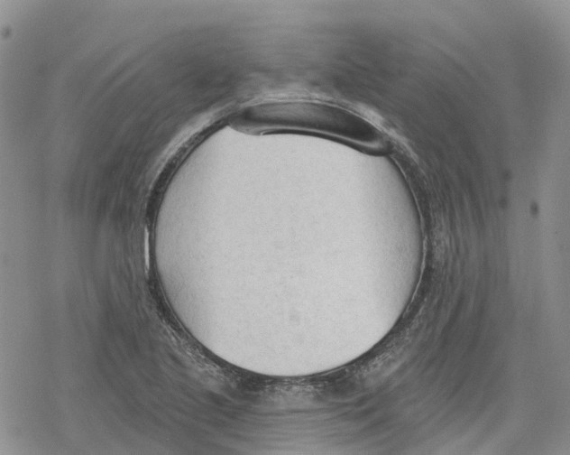 X0000078231221200611251206