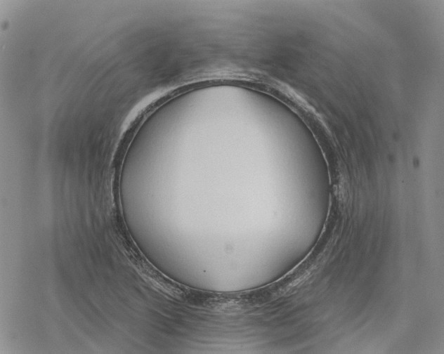 X0000078231222200611251206