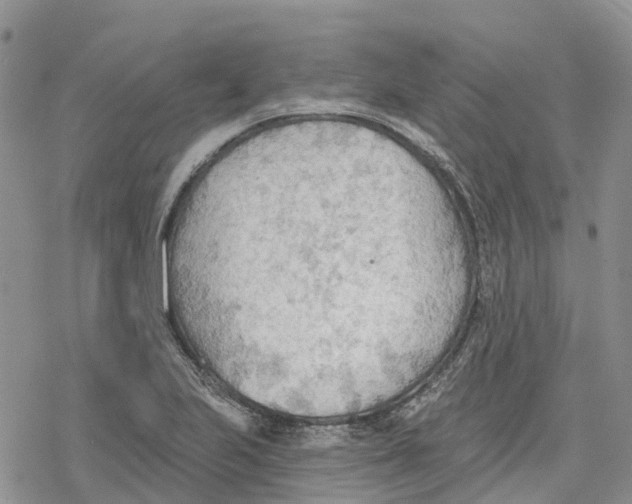 X0000078231223200611251206