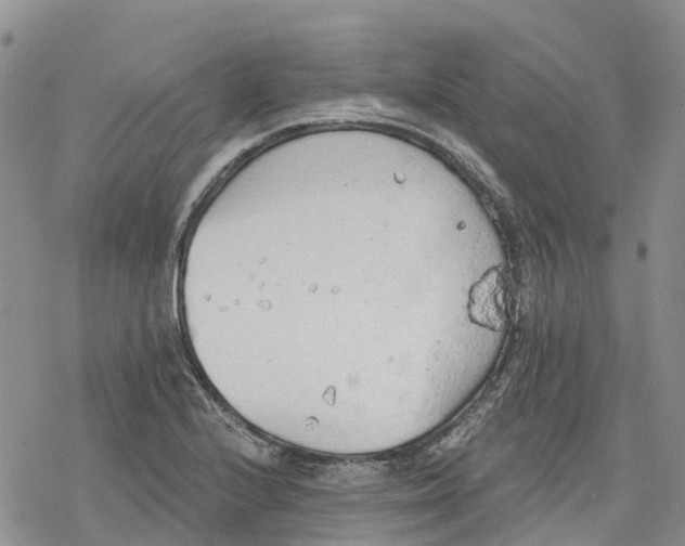 X0000078231224200611251206