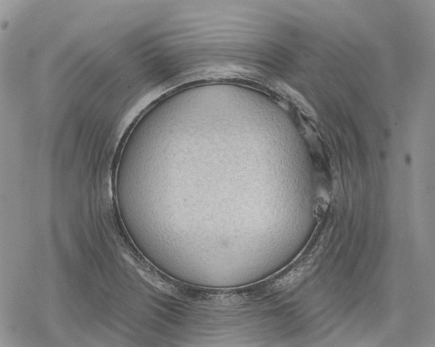 X0000078231226200611251206