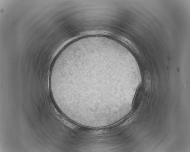 X0000078231228200611251206