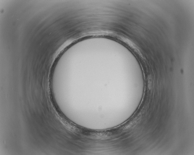 X0000078231229200611251206