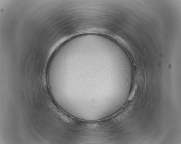 X0000078231230200611251206