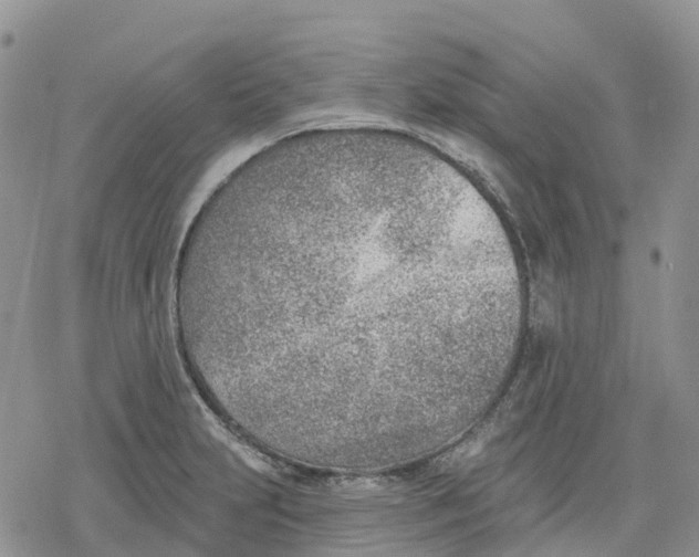 X0000078231231200611251206