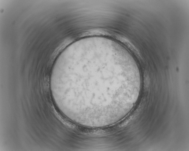 X0000078231233200611251206