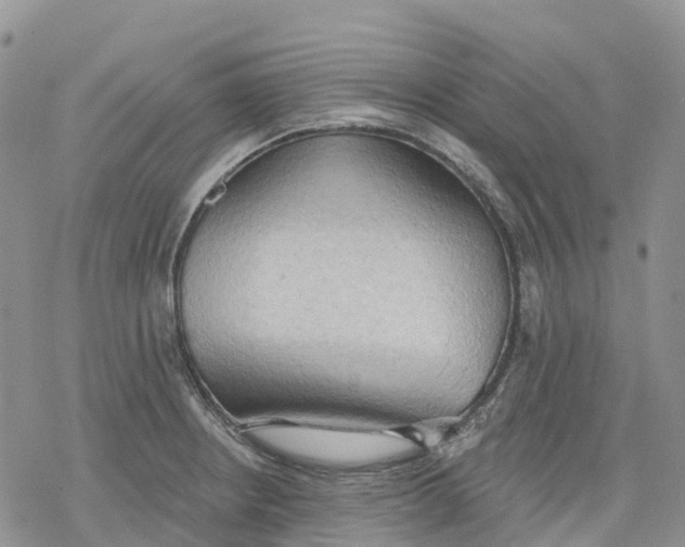 X0000078231234200611251206