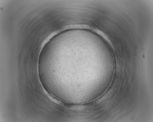 X0000078231237200611251206