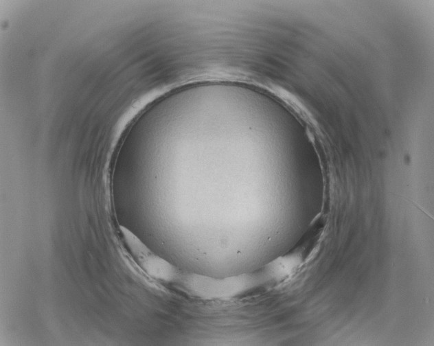 X0000078231238200611251206