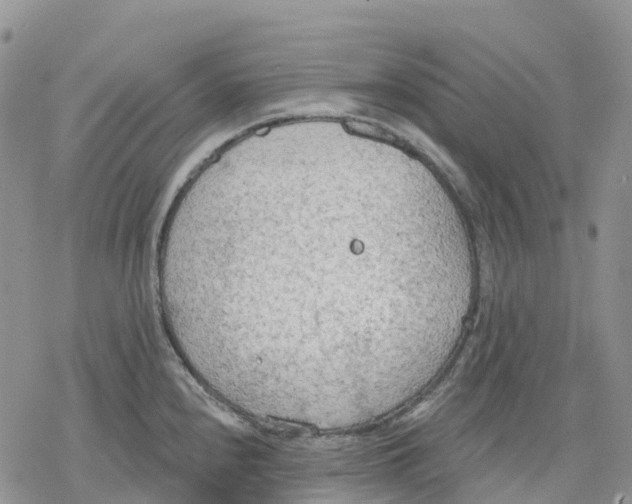 X0000078231240200611251206