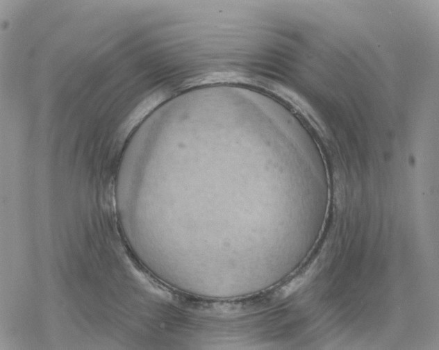 X0000078231241200611251206