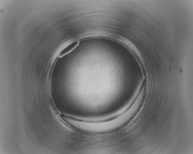 X0000078231242200611251206