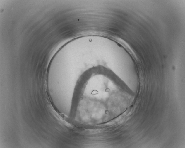 X0000078231244200611251206