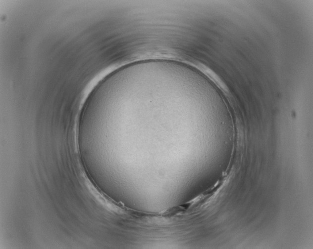 X0000078231246200611251206