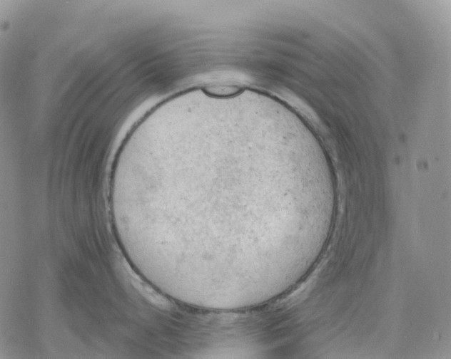 X0000078231248200611251206