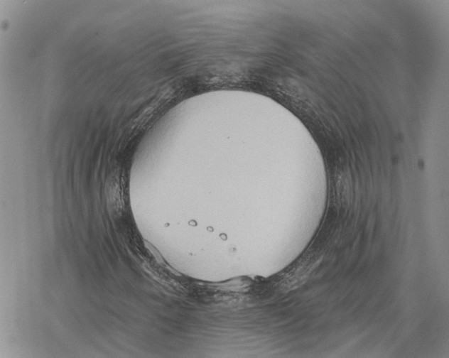 X0000078231250200611251205