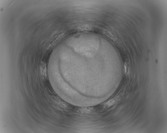 X0000078231251200611251205