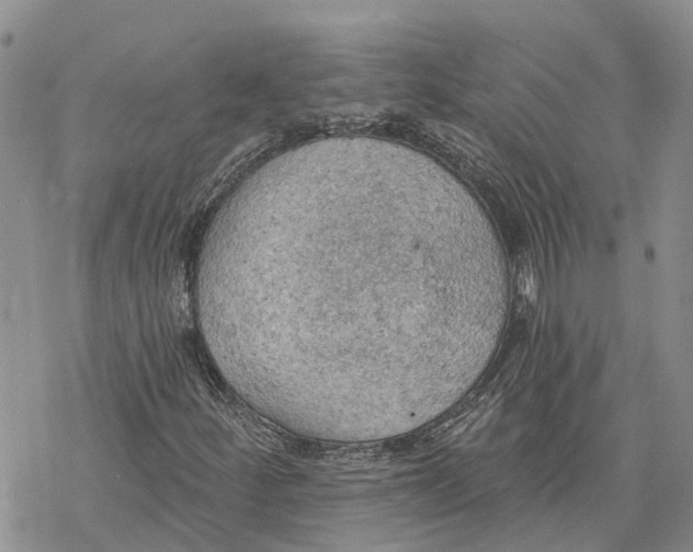 X0000078231252200611251205