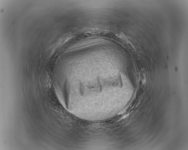 X0000078231253200611251205