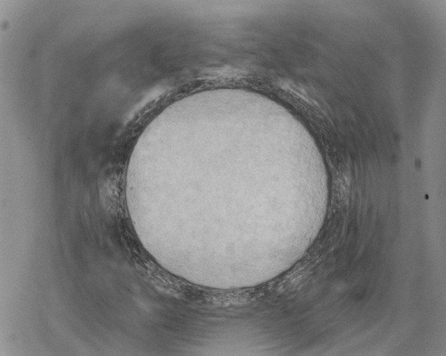 X0000078231254200611251205